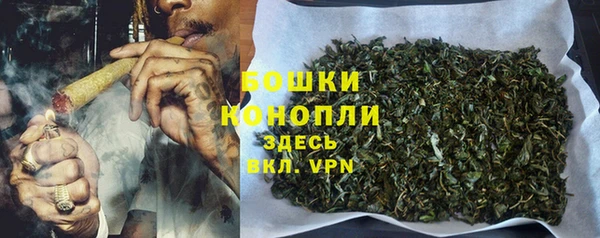 стафф Верея