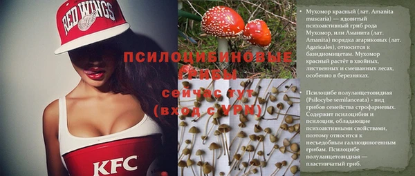 ешки Бородино